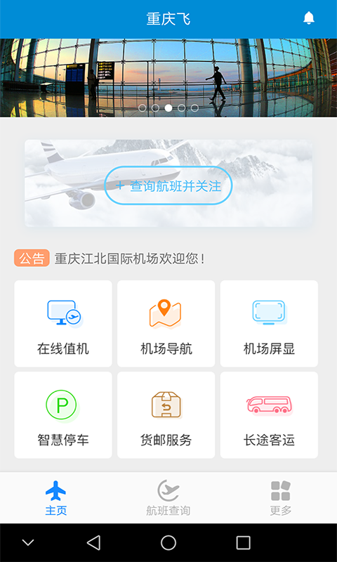 重庆飞_图片1