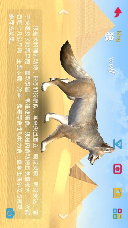 奇妙动物园_图片2