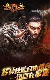 龙纹传世_图片3