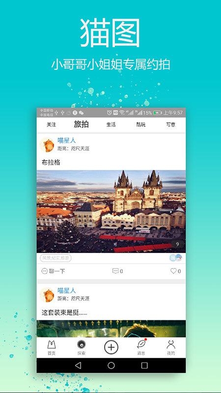 猫图_图片4