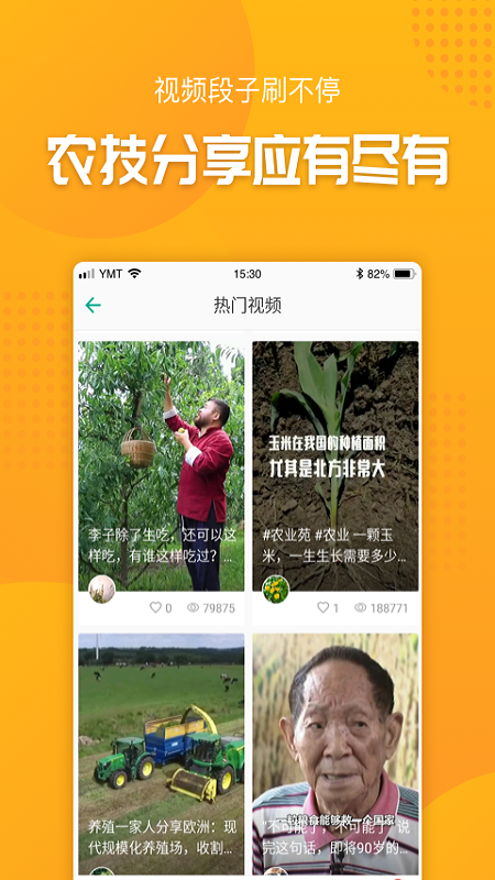 抓鱼_图片4