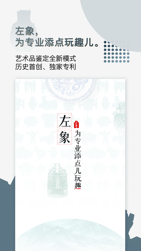 左象_图片1