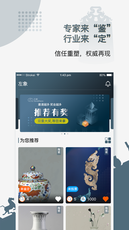 左象_图片2