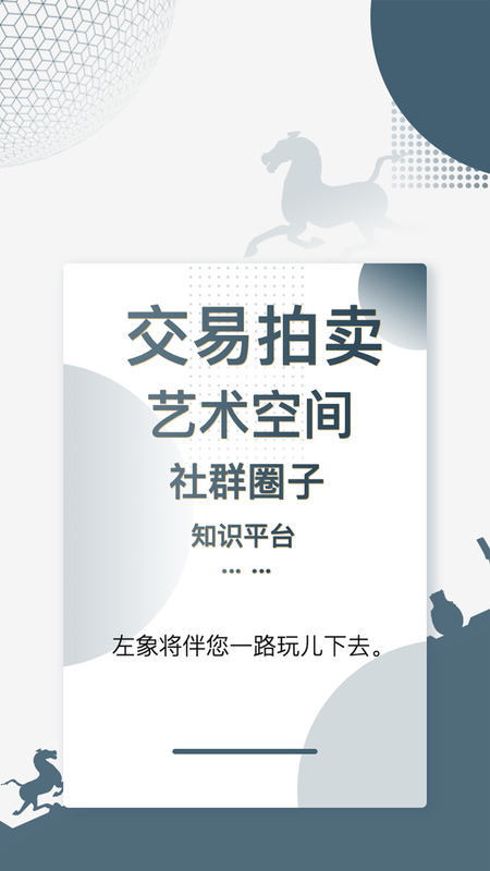 左象_图片5