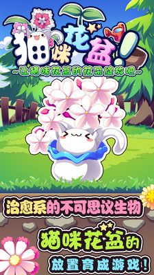 猫咪花盆_图片2
