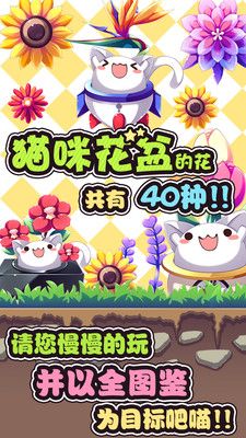 猫咪花盆_图片5