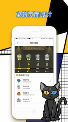贪玩猫_图片5