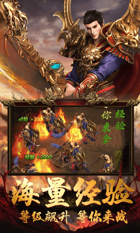龙翔合击_图片1