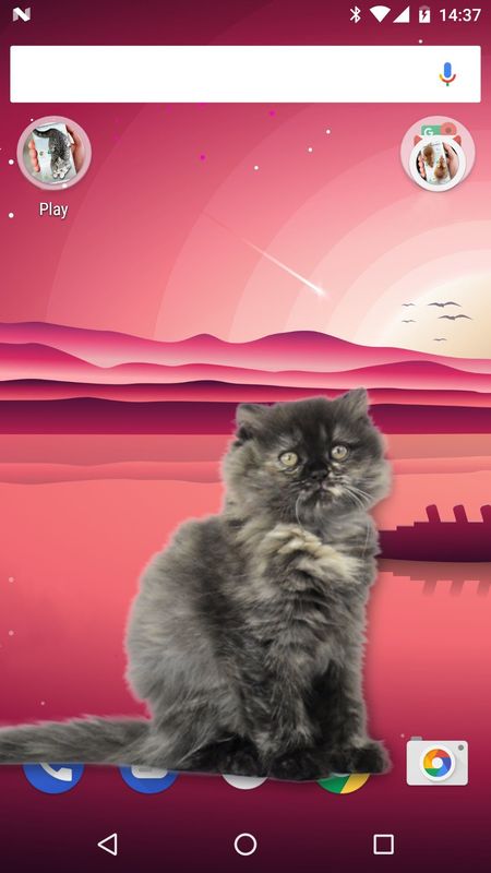 å¯ç±ç«å¨æå±å¹_å¾ç1