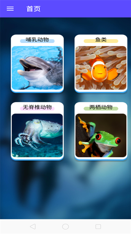 鱼塘水族馆_图片1