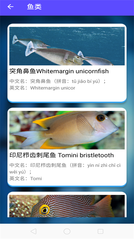 鱼塘水族馆_图片2