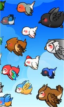 鸟类生活_图片1