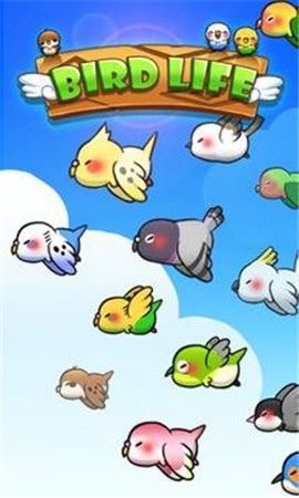 鸟类生活_图片2