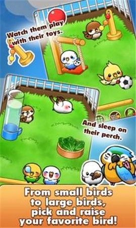 鸟类生活_图片3