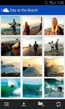 OneDrive_图片3