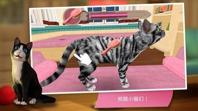 猫舍特别版_图片3