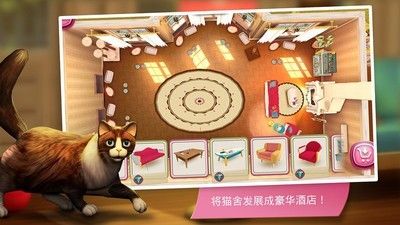猫舍特别版_图片4