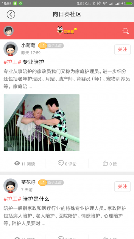 向日葵来了_图片3