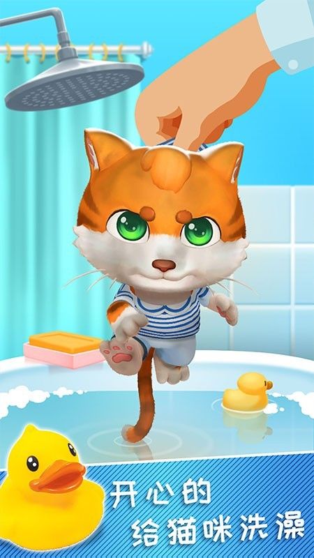 宝宝的皮皮猫_图片2