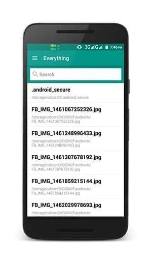 everything_图片4