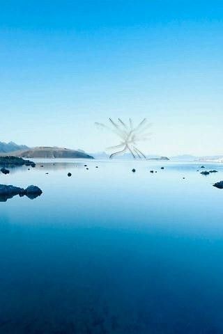 别碰我_图片2