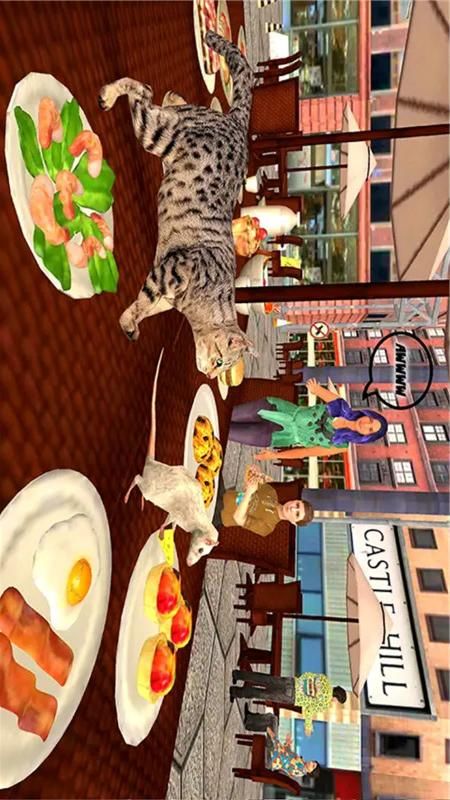 猫鼠之战_图片2