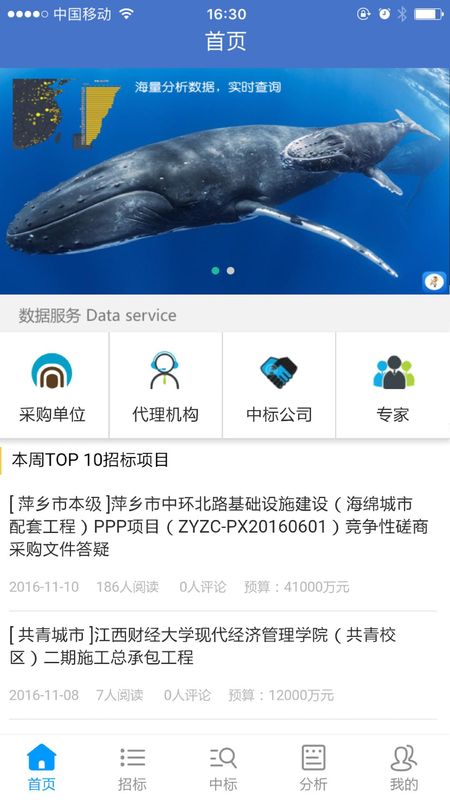 标标_图片1