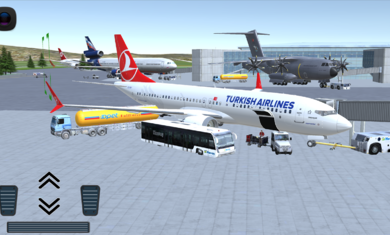 737航班_图片4