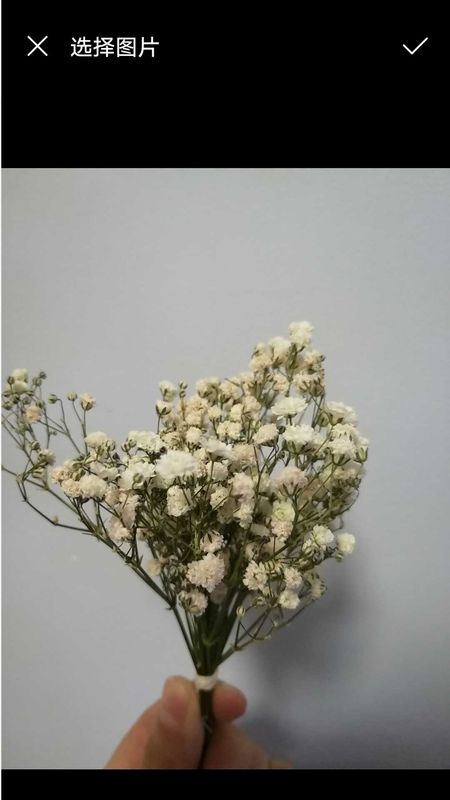 素描画神器_图片2