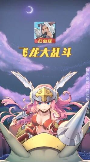 飞龙大乱斗_图片1