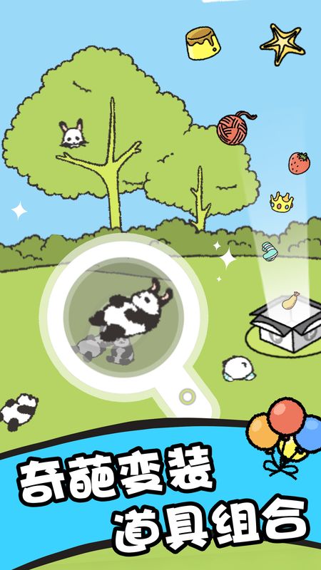熊猫森林_图片4