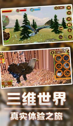 猎鹰模拟器3D_图片2