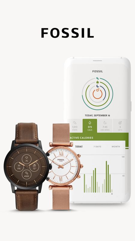 Fossil Hybrid_图片1