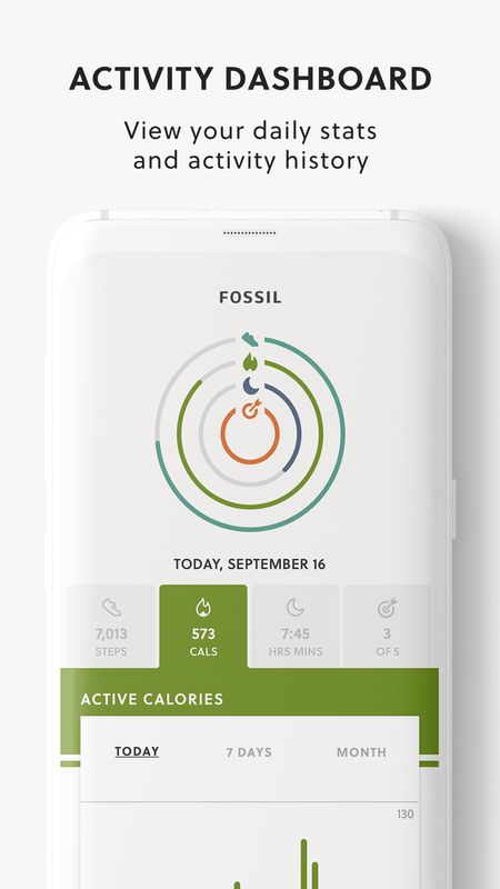 Fossil Hybrid_图片2