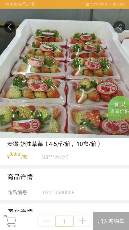 千鲜供应链_图片4