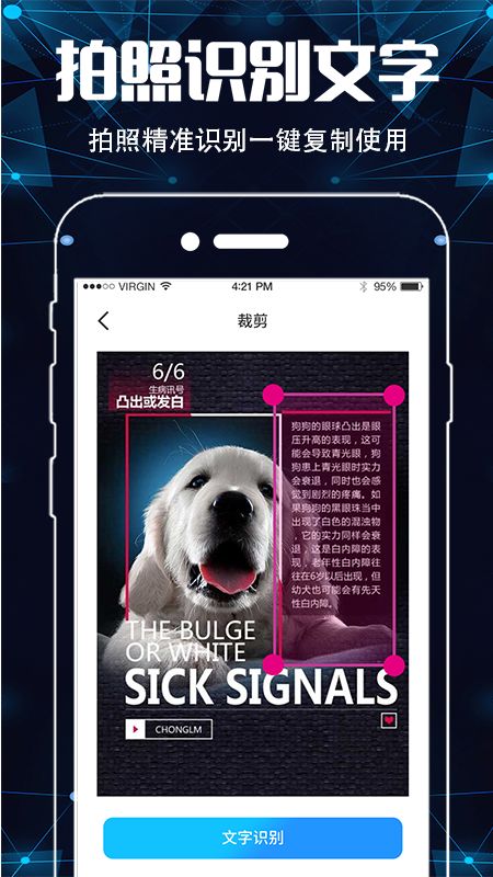 手机扫描名片全能王_图片2