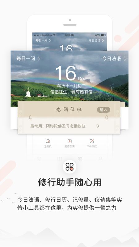 次第花开_图片3