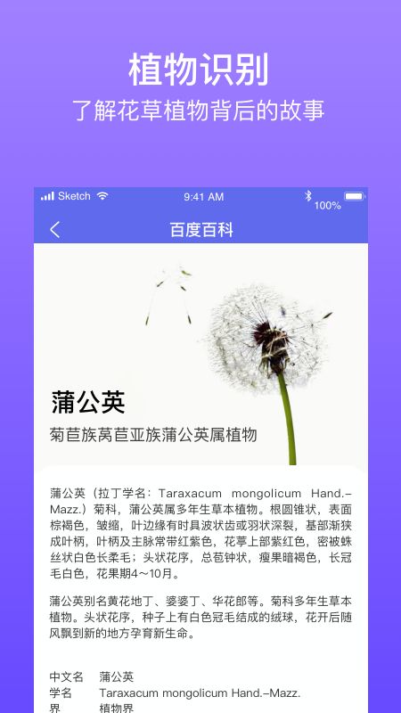 拍拍识图识字_图片5