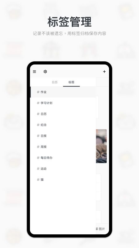 Migi_图片3