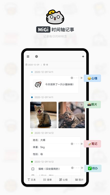 Migi_图片1