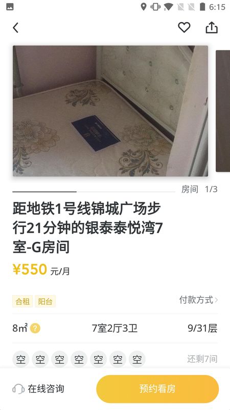 喵了隔壁_图片4