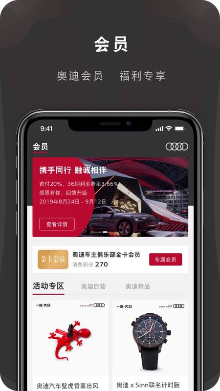 My Audi_图片4