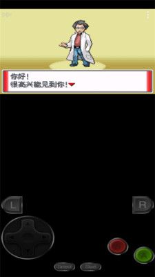 口袋妖怪赭色_图片3