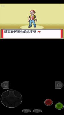 口袋妖怪赭色_图片4