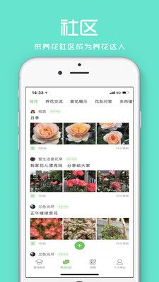 花百科_图片2