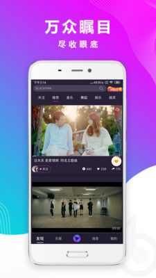 智曲_图片1