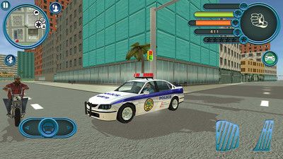 警察追捕行动_图片4