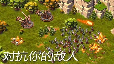 领主和城堡_图片1
