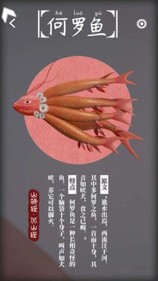 奇幻光影森林_图片5