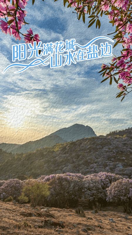山水盐边_图片3